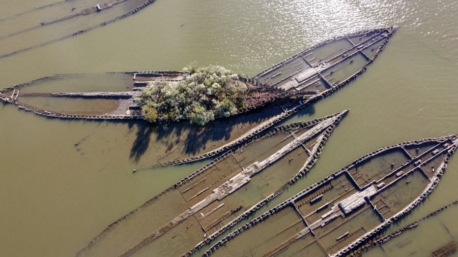 Aerial of sunken boats in Mallows Bay, MD